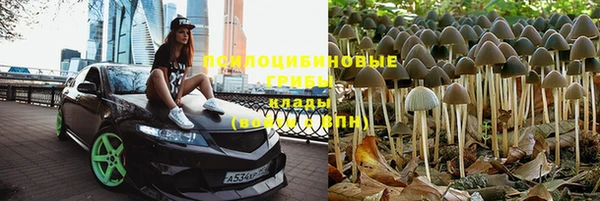 мдпв Верхнеуральск